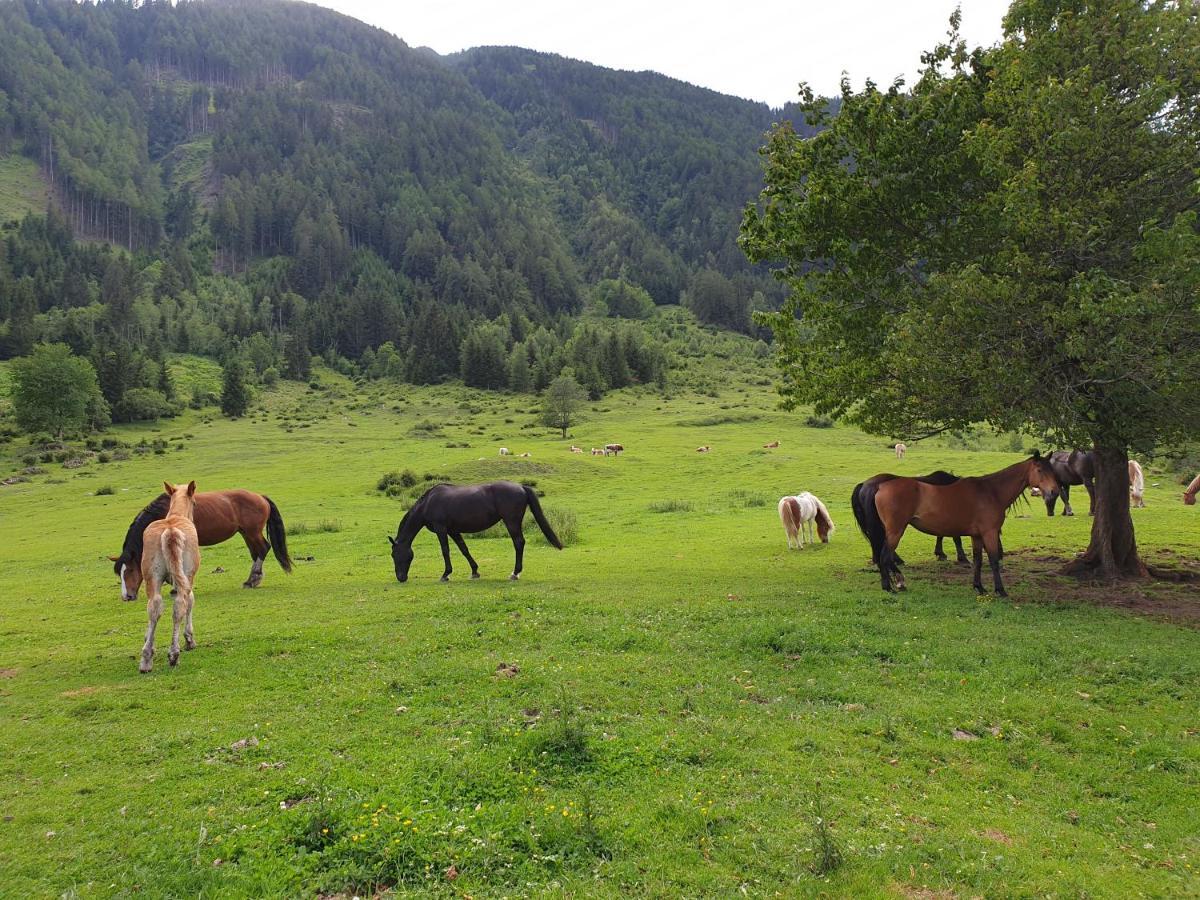 Villa Pongitzerhof Matrei in Osttirol Esterno foto